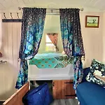 Camping Alice's Garden @ Bleak House Farm York