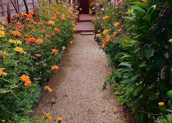 Alice's Garden @ Bleak House Farm Camping York