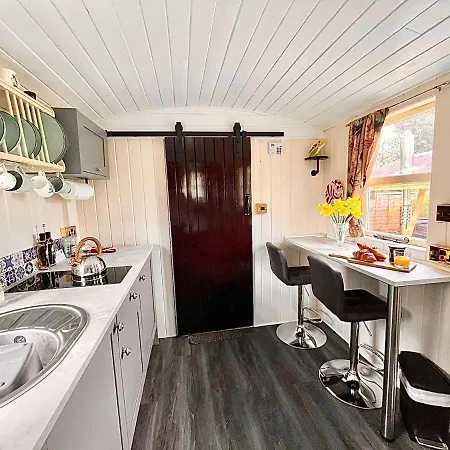 Kamp alanı Alice's Garden @ Bleak House Farm