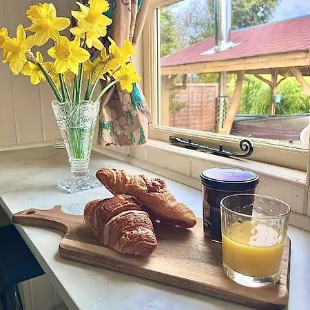 Alice's Garden @ Bleak House Farm Kamp alanı *