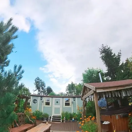 キャンプ場 Alice's Garden @ Bleak House Farm