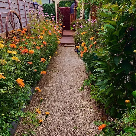 Alice's Garden @ Bleak House Farm キャンプ場 ヨーク