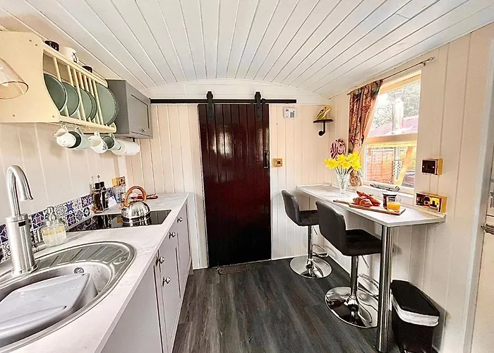 キャンプ場 Alice's Garden @ Bleak House Farm