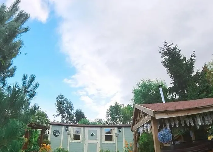 キャンプ場 Alice's Garden @ Bleak House Farm